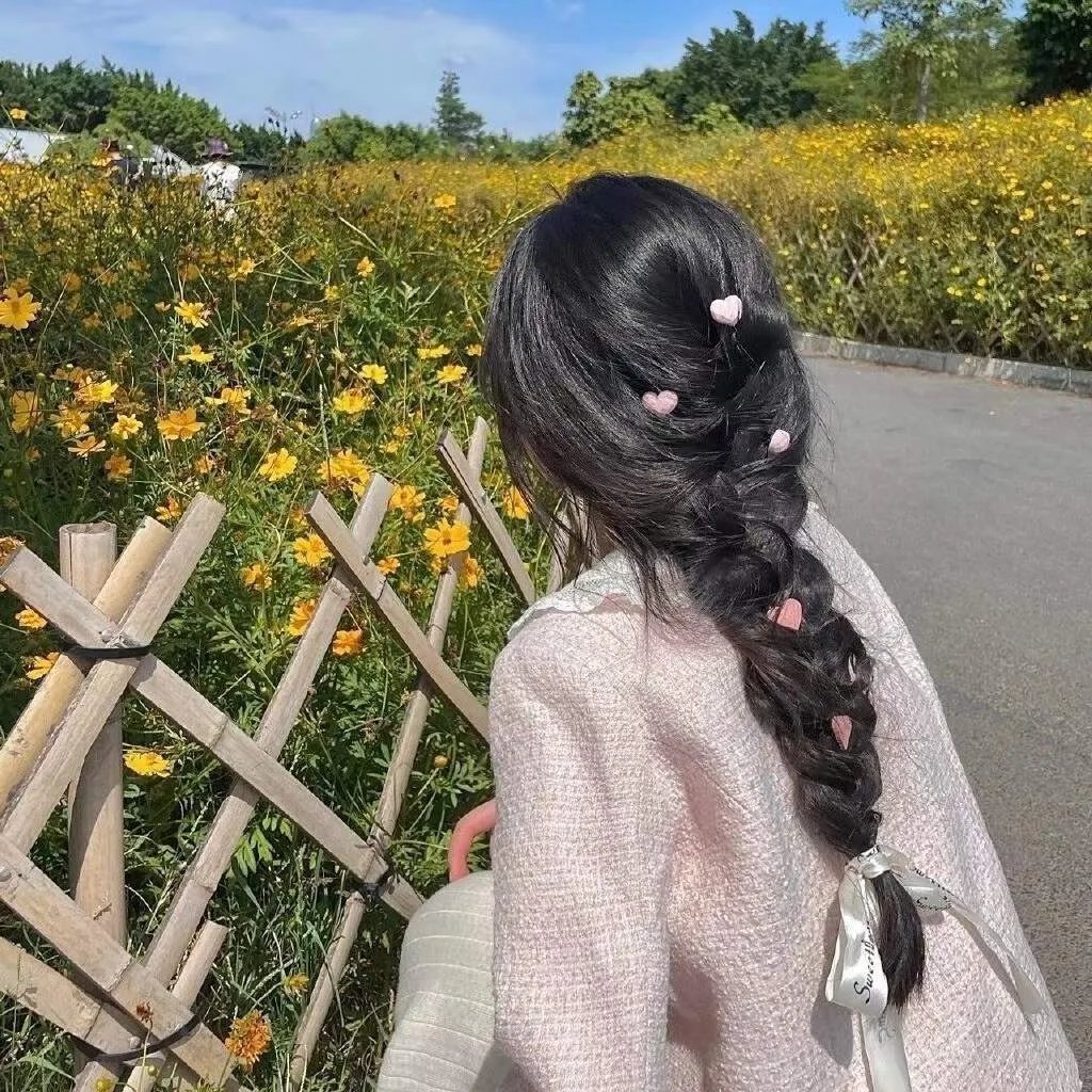 齐姆与友