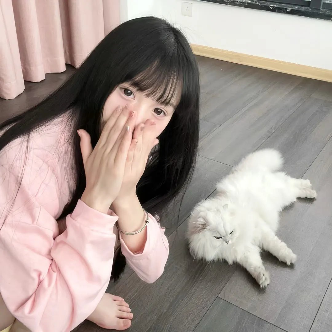 电视剧